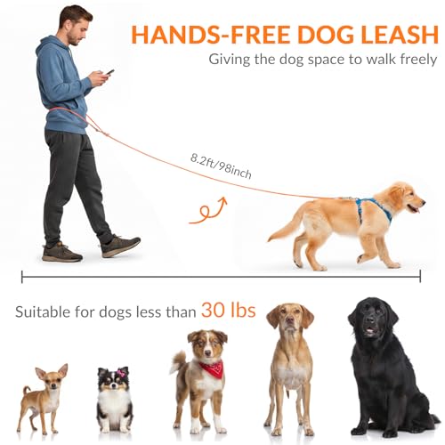 8.2ft Hands Free Dog Leash (Orange)