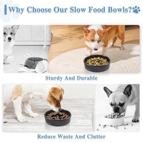 Ceramic Slow Feeder Dog Bowls (Black-M)