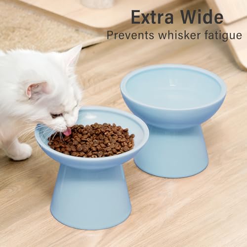 2 Pack Elevated Ceramic Cat Bowls Extra Wide for Food & Water (Baby Blue)