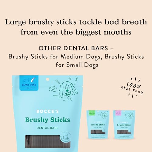 Brushy Sticks Dog Dental Treats (1 Pound (Pack of 1))