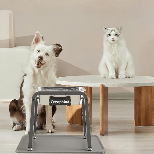 2 Gallon Elevated Large Dog Water Bowl with Mat (Grey-2 gal & mat / Height: 10.4-15.2")
