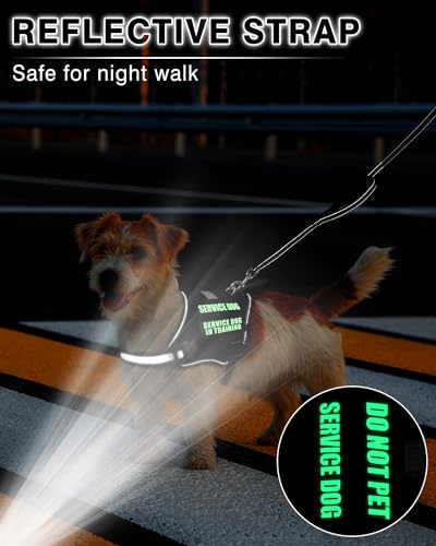 Service Dog Vest Harness and Leash Set+10 Patches for Puppy Small Dogs (Extra-Small / Black)
