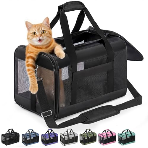 Cat Carrier Soft (Black / 17.0"L x 11.0"W x 11.0"H)