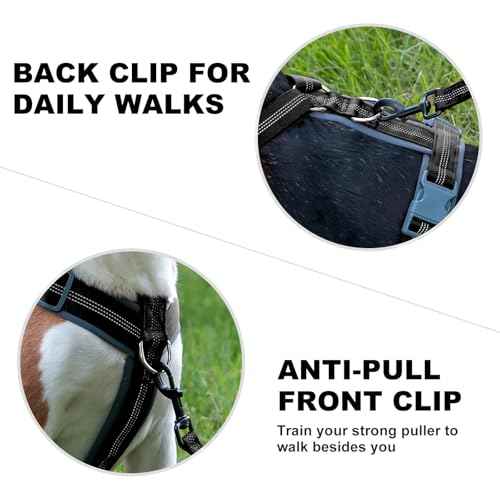 No Pull Dog Harness (M / Black)