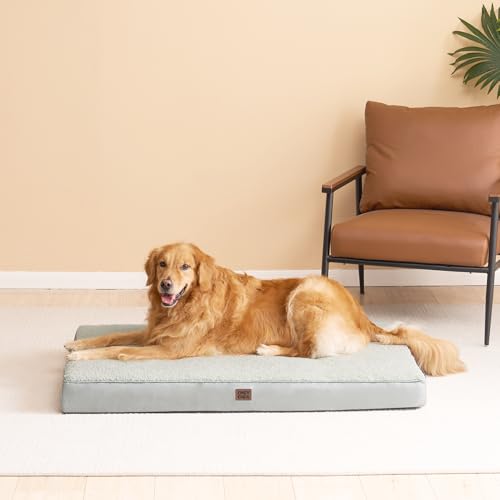 Orthopedic Dog Bed Extra Large with Removable Washable Cover (41*27*3.5 inches / Greyish Green)