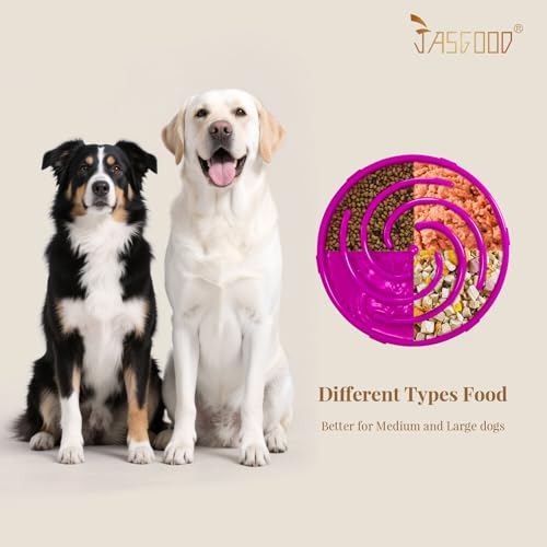 Slow Feeder Dogs Bowl for Large Medium Dogs (Large / F-Purple)