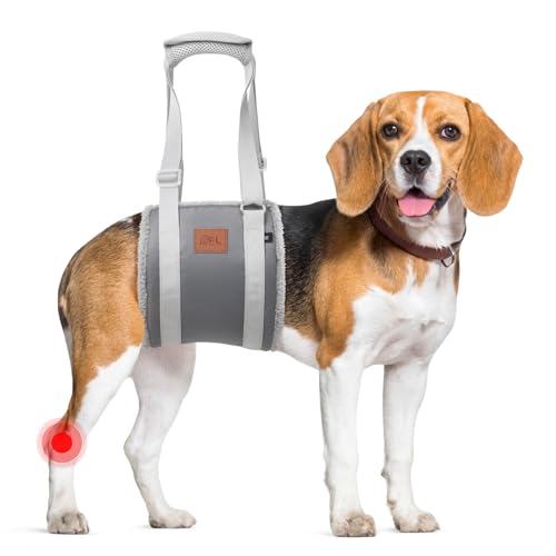 Adjustable Dog Sling for Medium Dogs Soft Post (Grey & Grey / Medium)