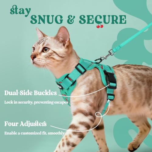 Cat Harness and Leash Set (Xxs / Cherry Grove)