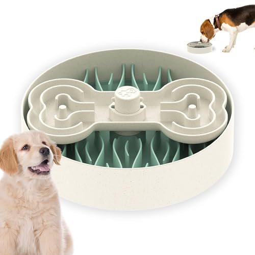 Slow Feeder Dog Bowl for Large Dogs with Non (L / Lawn-Green)