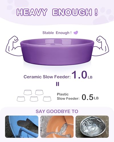 Ceramic Slow Feeder Dog Bowls Small Breed (S-0.6 Cups / 03-Purple)