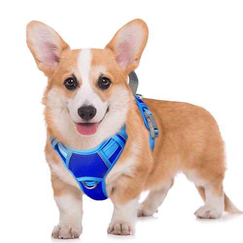 Dog Harness for Medium Sized Dog No Pull Dog Vest ID Tag Pocket (Sapphire Blue & Blue / Medium)