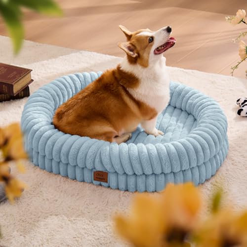 Orthopedic Dog Bed (Light Blue / L(35*28*7))