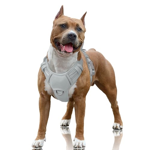 Dog Harness for Large Dogs No Pull Dog Vest ID Tag Pocket (Grey / Large)