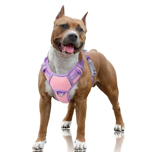 Dog Harness for Large Dogs No Pull Dog Vest ID Tag Pocket (Baby Pink & Violet Purple / Large)