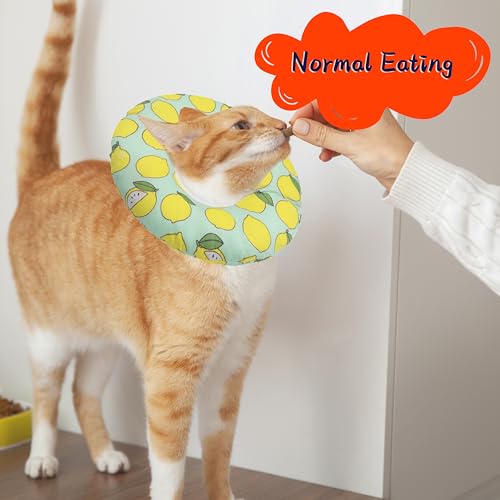 Cat Cone Collar Soft (Green Lemon / Large)