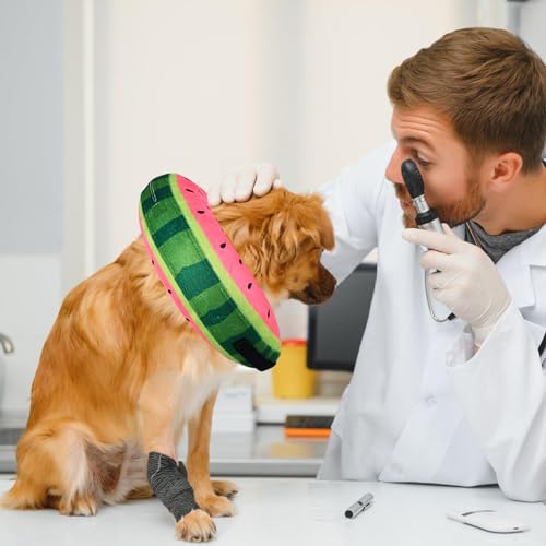 Inflatable Dog Cone Collar for After Surgery (Watermelon / Small (Neck: 6"-11"))