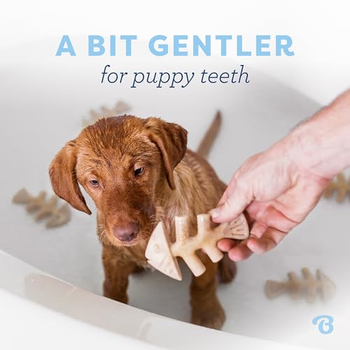 Puppy Fishbone Dog Chew Toys (Puppy (2-Pack))