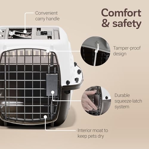 Two Door Plastic Pet Kennel for Small Dogs and Cats (Two-door / 19.4"L x 10.0"W x 12.8"H / WHITE)