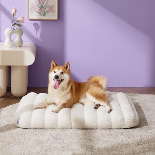 Cute Orthopedic Dog Bed Medium Size Dog (30"L x 20"W x 4"Th / Cream)
