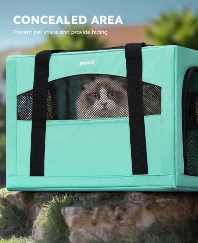 Cat Carrier Stable (Light Green / 18.5"L x 12.9"W x 11.8"H)