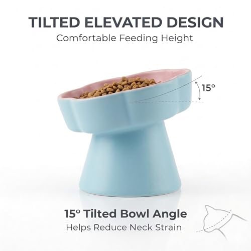 Elevated Ceramic Slow Feeder Cat Bowl (Blue/Pink)