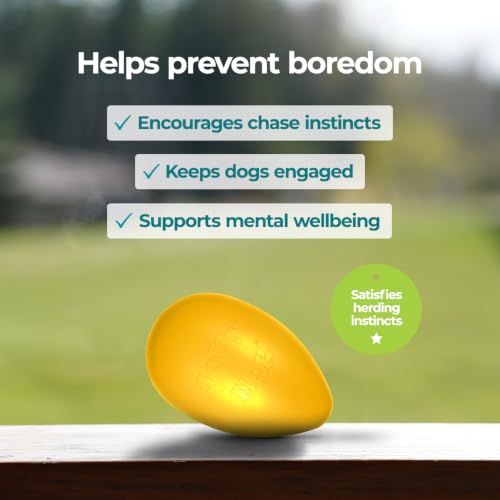 Jolly Egg Herding Dog Toy (Medium (8 in) / Yellow)