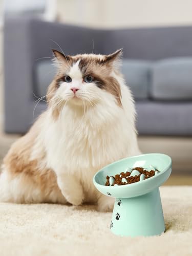 Slow Feeder Cat Bowl (Green)