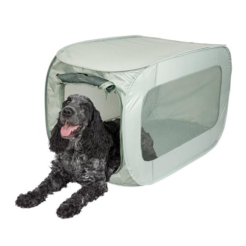 Soft Sided Pop (Light Green)