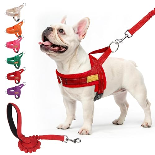 Dog Harness Medium Sized and Leash Set (Red / M: Chest 21"-26.7")