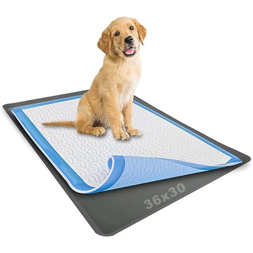 Dog Pee Pad Holder (1 Pack / Gray)