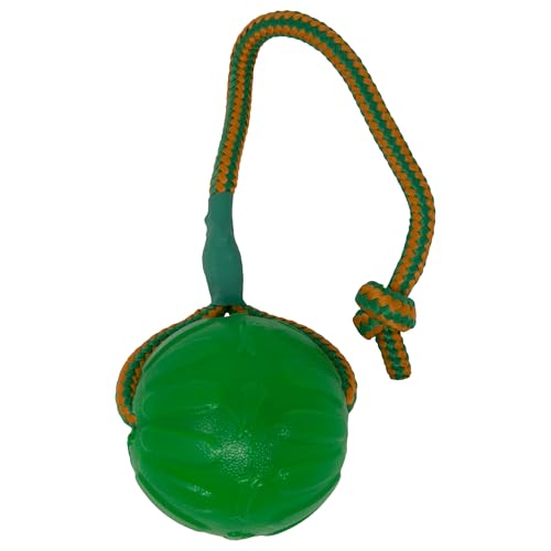 Everlasting Fun Ball on a Rope Dog Toy