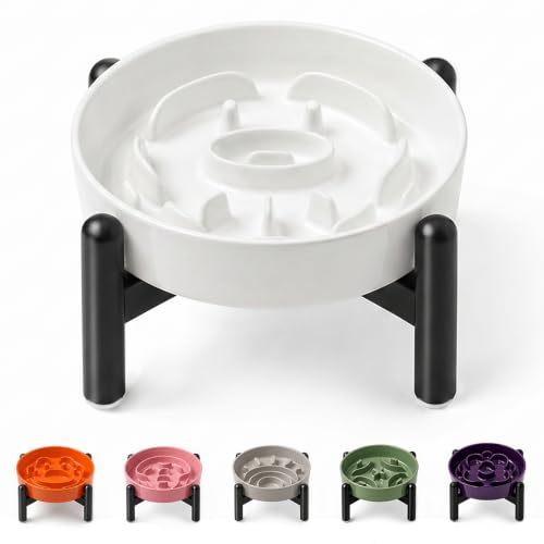 Elevated Slow Feeder Dog Bowl (White / S（1 Bowl with Stainless Steel Stand）)