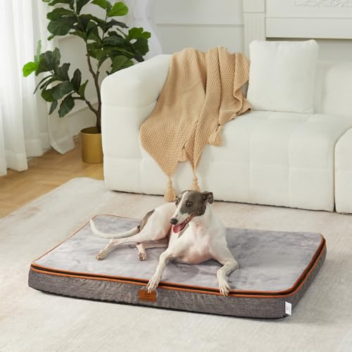 Memory Foam Large Dog Bed (35.0"L x 23.0"W x 4.0"Th / Light Grey)