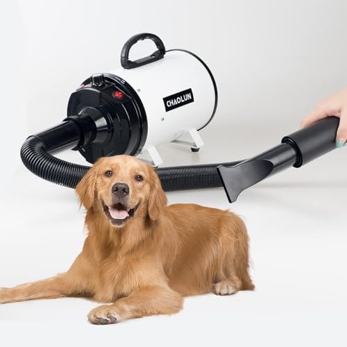 Dog Dryer for Pet Grooming (White)