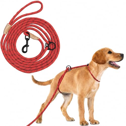 12ft No Choke Leash Long Rope Dog Leash (12 Ft / RED)