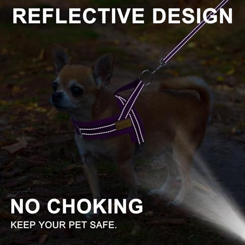 Small Dog Harness and Leash Set (Purple / S: Chest 17.5"-22")