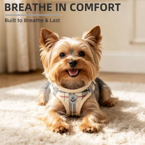 Dog Harness Collar and Leash Set No Pull for Small Medium Sized (Beige / XXL (CHEST 22"-24.5"))