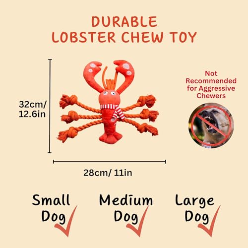 Squeaky Dog Toys (Scarf Lobster)