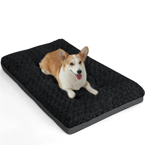 Dog Bed Medium Sized Dog (29.0"l X 19.0"w X 3.5"th / Black)