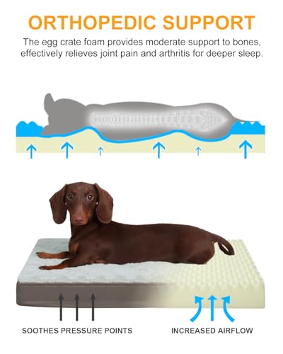 Orthopedic Dog Bed for Small Dogs with Waterproof Lining (Light Grey / 21.0"L x 13.0"W x 2.5"Th)