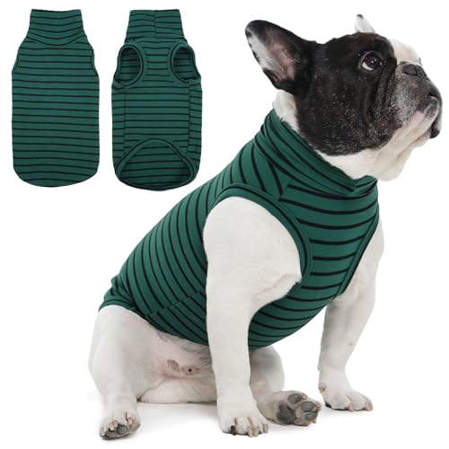 Small Dog Sweater (Medium / Green Stripes)