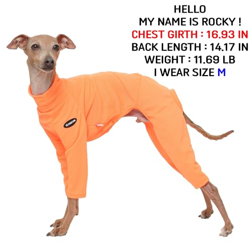 D Doggy Star Italian Greyhound Clothes Stretchy Neon Onesie Spring Summer (L / Onsi Ne Orange)