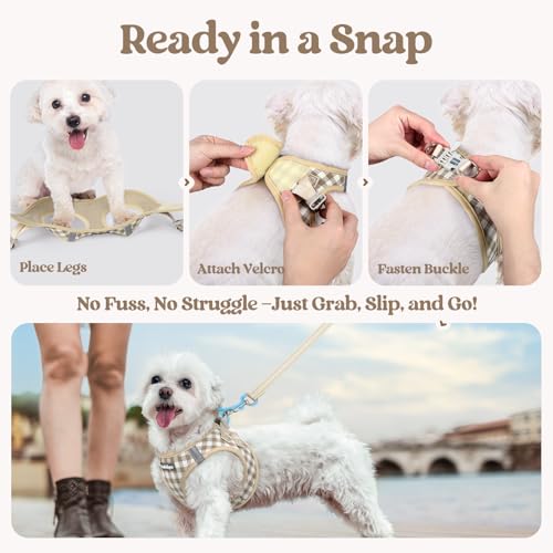Dog Harness Small Sized and Leash Set (Beige Check / S (chest: 15.1 - 16.5"))