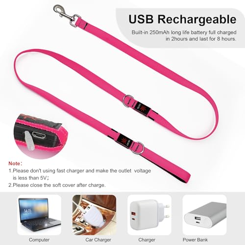 LED Light Up Dog Leash (Pink / 6FT)