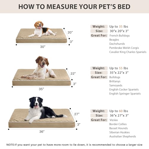 Orthopedic Waterproof Dog Bed Medium for Comfy Sleeping (brown / 30"L x 20"W x 3"Th)