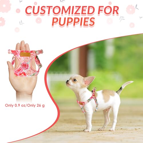 No Pull Dog Harness with Leash for Small Medium Dogs (Medium(18-31lb) / Pink Rose)