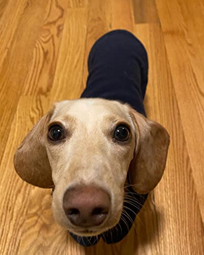 Fleece Vest Dog Sweater (Navy / Large (Around 18-lb))