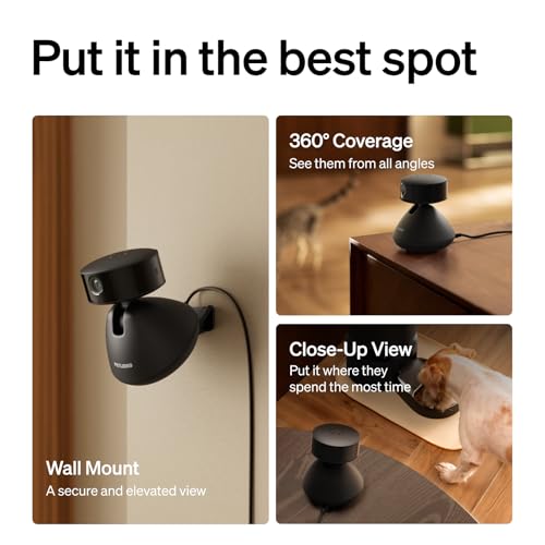 Dog Camera with Phone App (Black / Pet Cam)