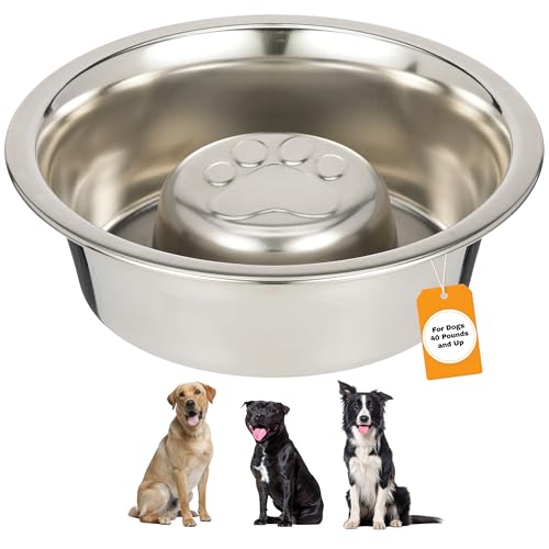 Stainless Steel Slow Feed Dog Bowl for Fast Eating Large Breed (3 Cup - Standard)