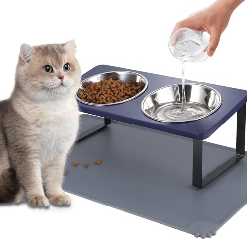 Upgraded Elevated Cat Bowls with Food Mat